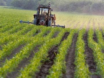 IMU terreni agricoli: dal 2014 il moltiplicatore scende a 75